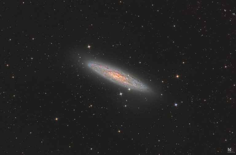 Caldwell 65 Sculptor Galaxy - Astrofotografie