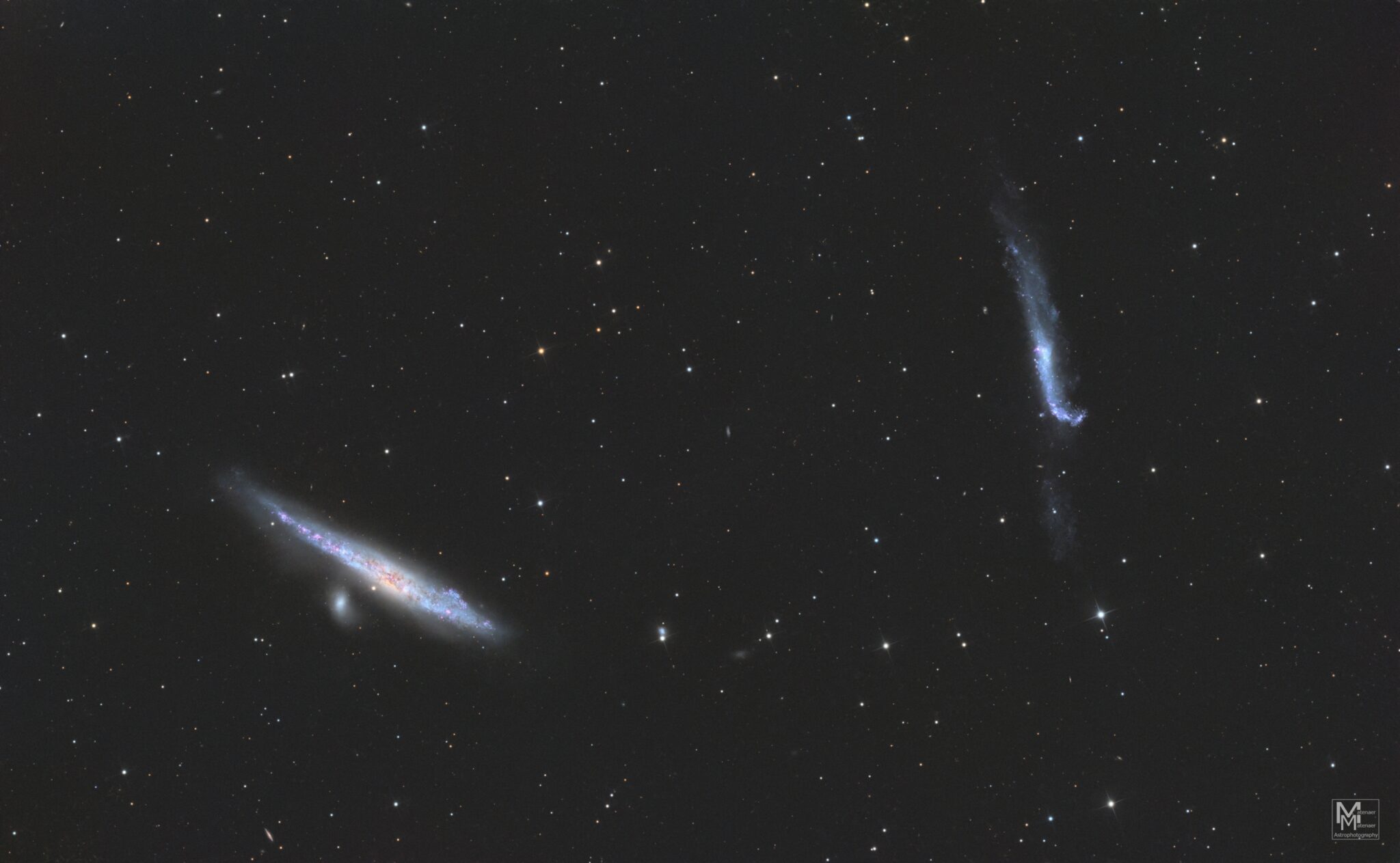 NGC 4656 Hockey Stick & Whale Galaxy - hochauflösende Astrofotografie